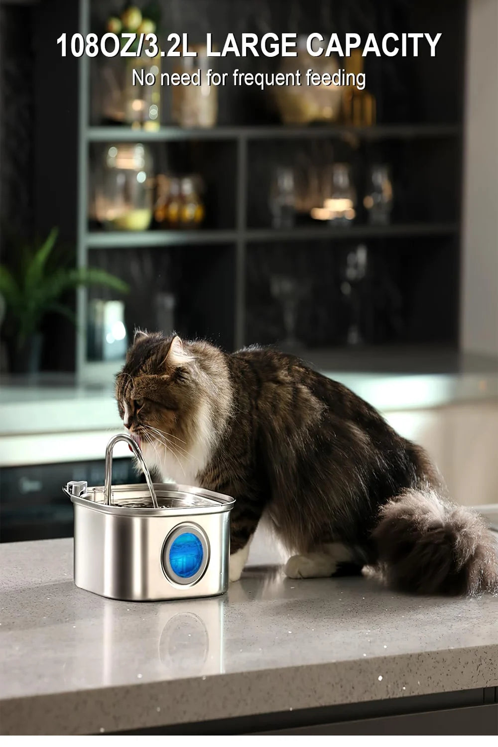 ZYfeeder™ 3.2L Stainless Steel Pet Fountain – Fresh Auto Water 💧🐾