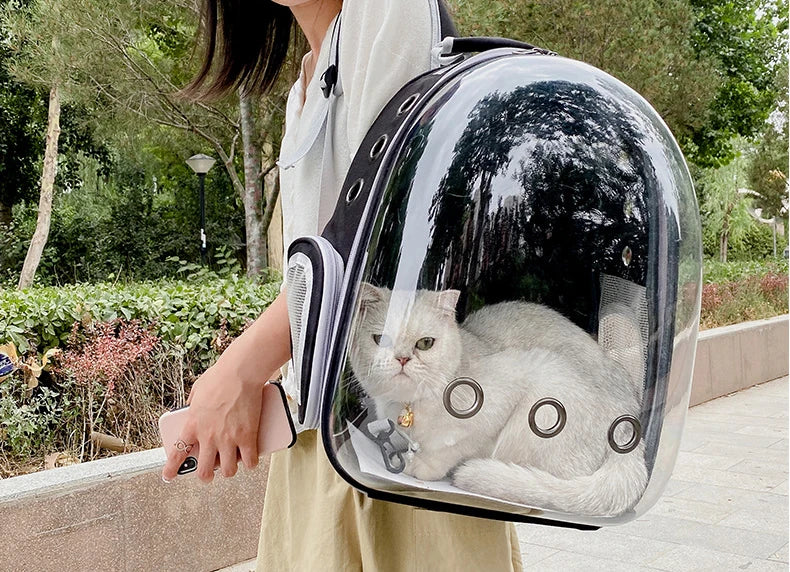 Space Capsule Pet Backpack β Travel with Style & Comfort ππΎ