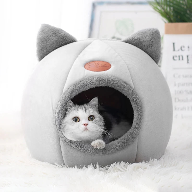 Winter Comfort: The Perfect Bed for Cats