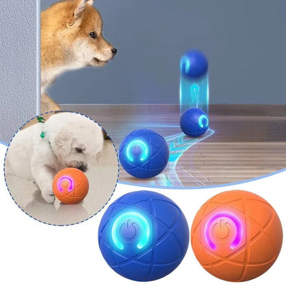 Smart Dog Toy Ball