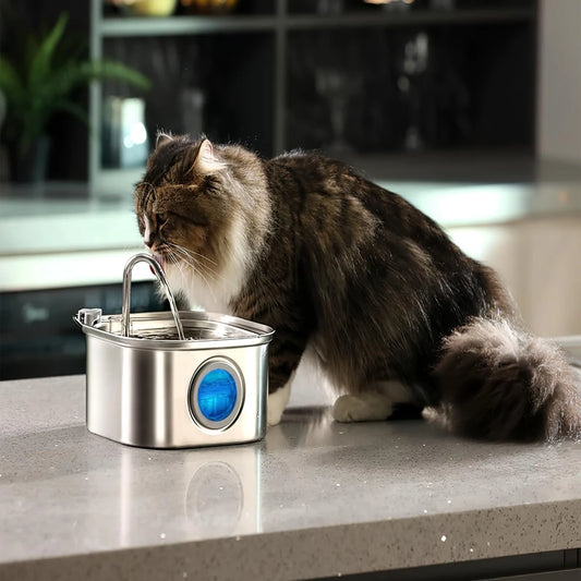ZYfeeder™ 3.2L Stainless Steel Pet Fountain – Fresh Auto Water 💧🐾
