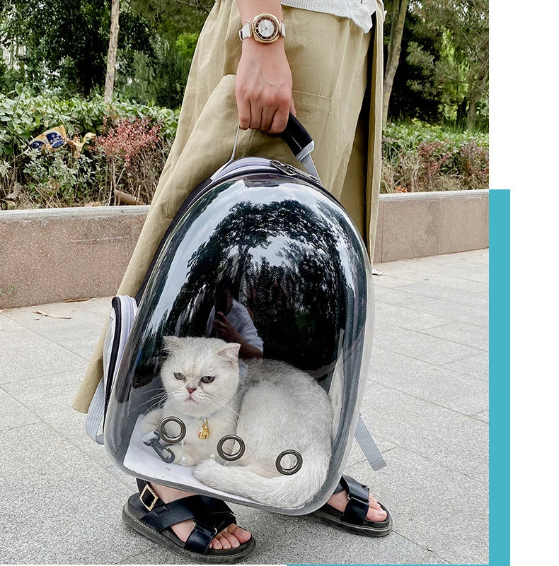 Space Capsule Pet Backpack – Travel with Style & Comfort 🚀🐾