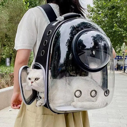 Space Capsule Pet Backpack – Travel with Style & Comfort 🚀🐾