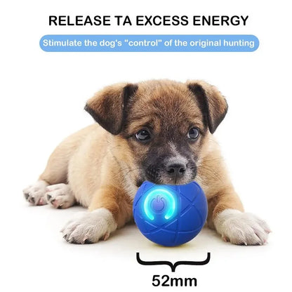 Smart Dog Toy Ball