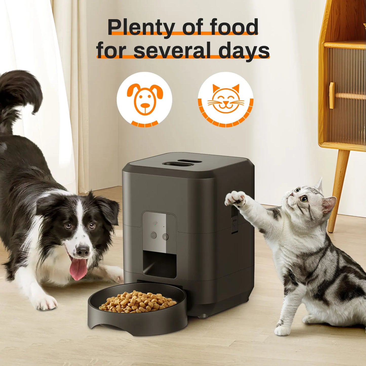 Smart Pet Feeder – Timed Cat & Dog Dispenser