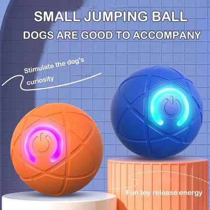 Smart Dog Toy Ball
