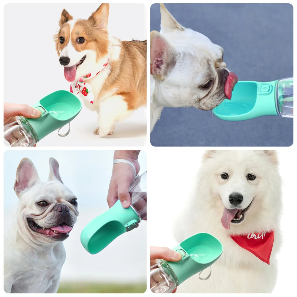 Portable Water Feeder Bottle for Dogs & Cats