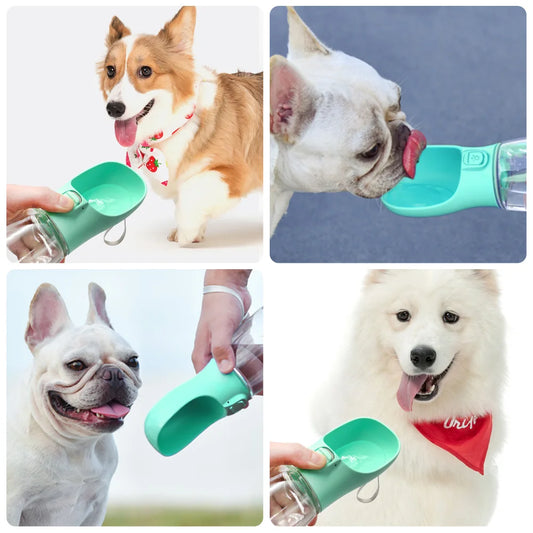 Portable Water Feeder Bottle for Dogs & Cats